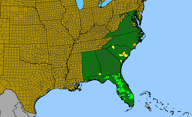 The range of Bacopa innominata